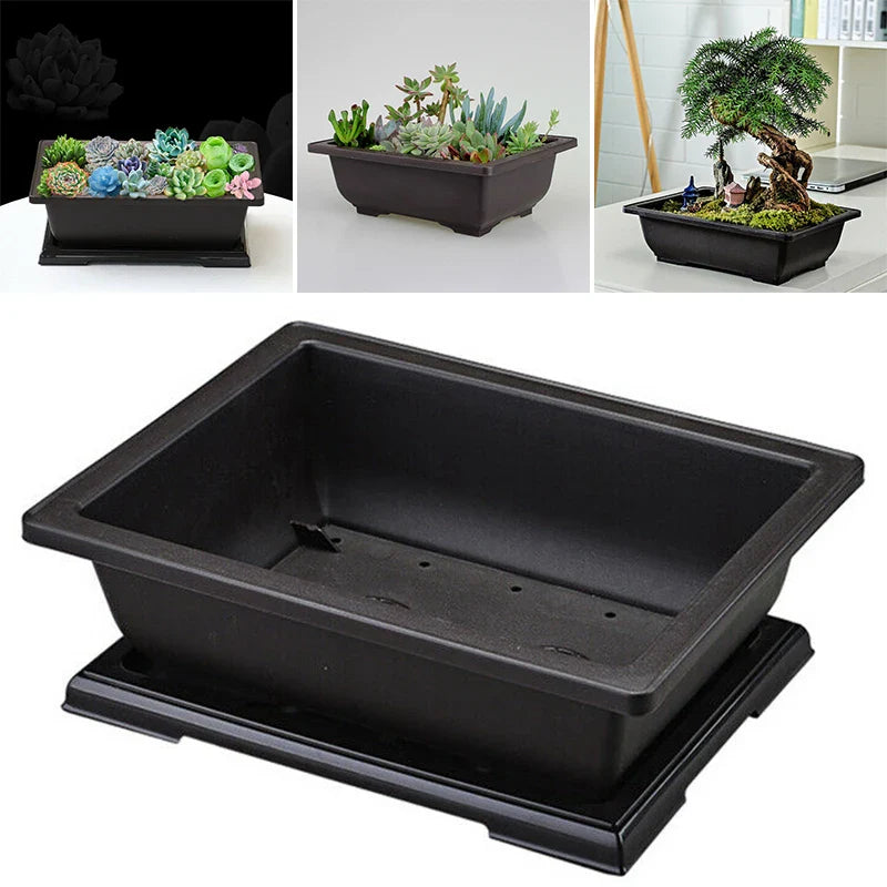Carvallo Plantekrukke | Antikk-utseende & Bruddsikker | Med Underlag | 29x21x10,5 cm