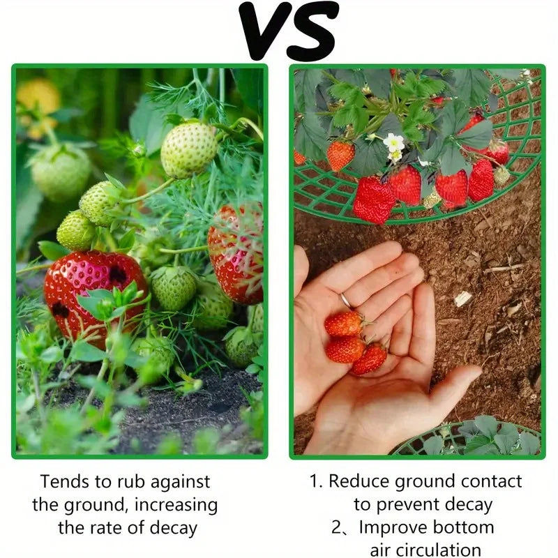 Carvallo Rankhjälp | 5/10-pack Jordgubbsstöd | Skydd mot förruttnelse & smuts | Med 3 stabila ståben