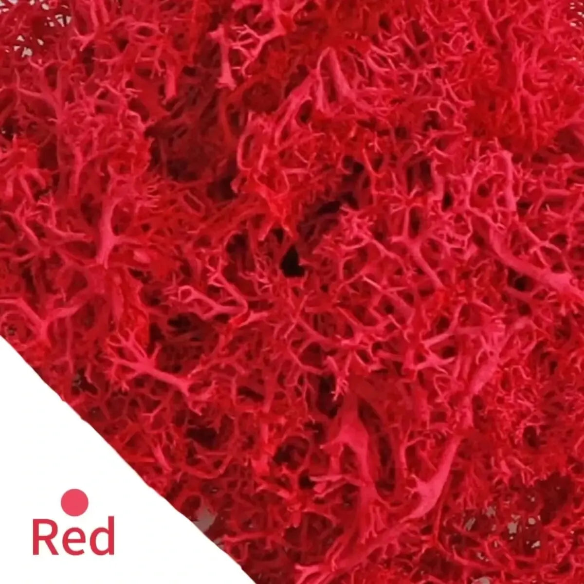 Carvallo Konstgjord mossa Dekogräs | 20 g / 40 g / 100 g | För DIY, miniatyrträdgårdar & hemtillbehör | Eviggrön & underhållsfri