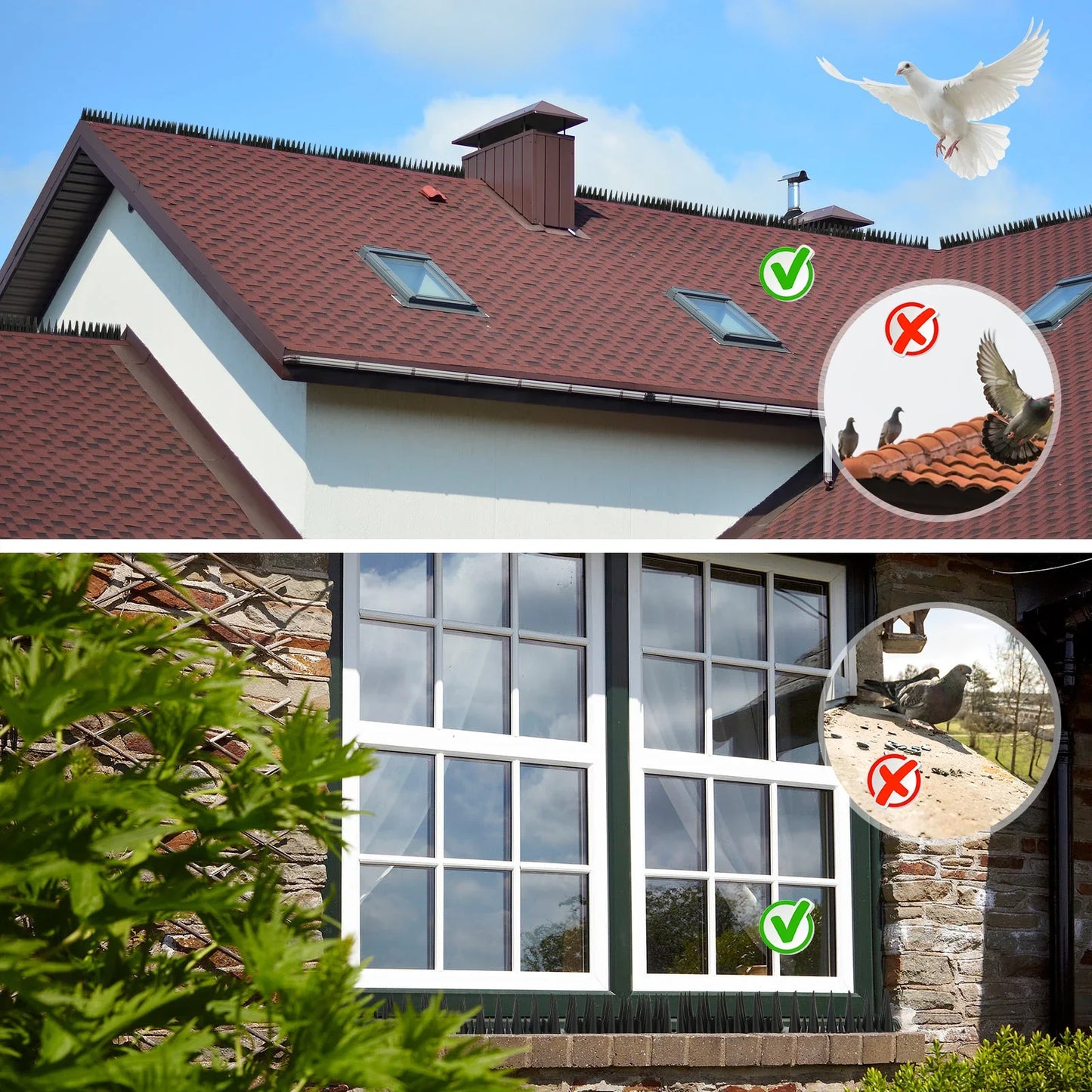 Carvallo 12/20-set fågelskyddsspikar | Avtagbar & djurvänlig | Anti-klättringsskydd för staket, fönsterbräda & takkant