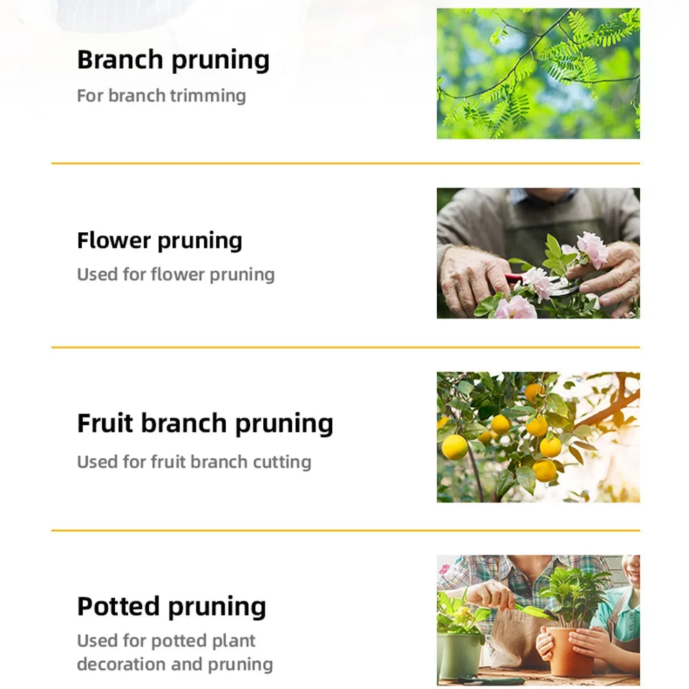 Carvallo PRUNEXA | 21 cm | Kolstål #55 | Precisionsskärning upp till Ø 1 cm