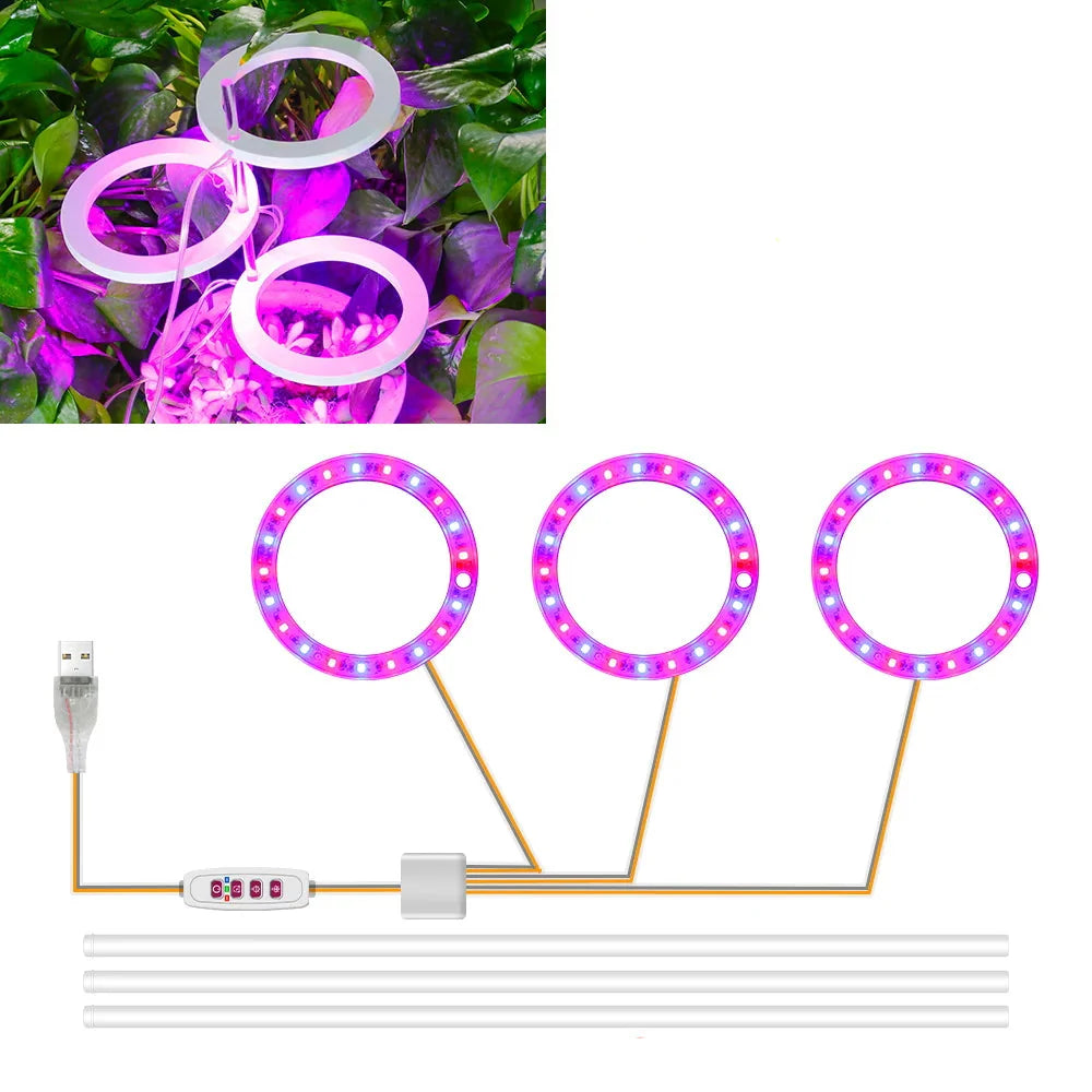 Carvallo Luminara Ring | LED-växtbelysning med timerfunktion | 1–4 huvuden | USB-driven &amp; 5-stegs dimbar