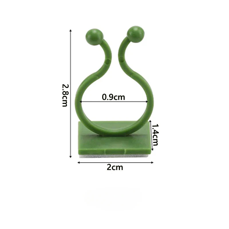 Carvallo Självhäftande växtklipp 10/50 stycken | Stöd för klätterväxter | Osynlig fäste för väggar & fönster