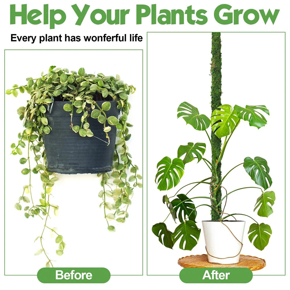 Carvallo MossPole Böjliga mossa stöd för växter | Handgjord klättringshjälp för Monstera & inomhusväxter | 45 × 3 cm