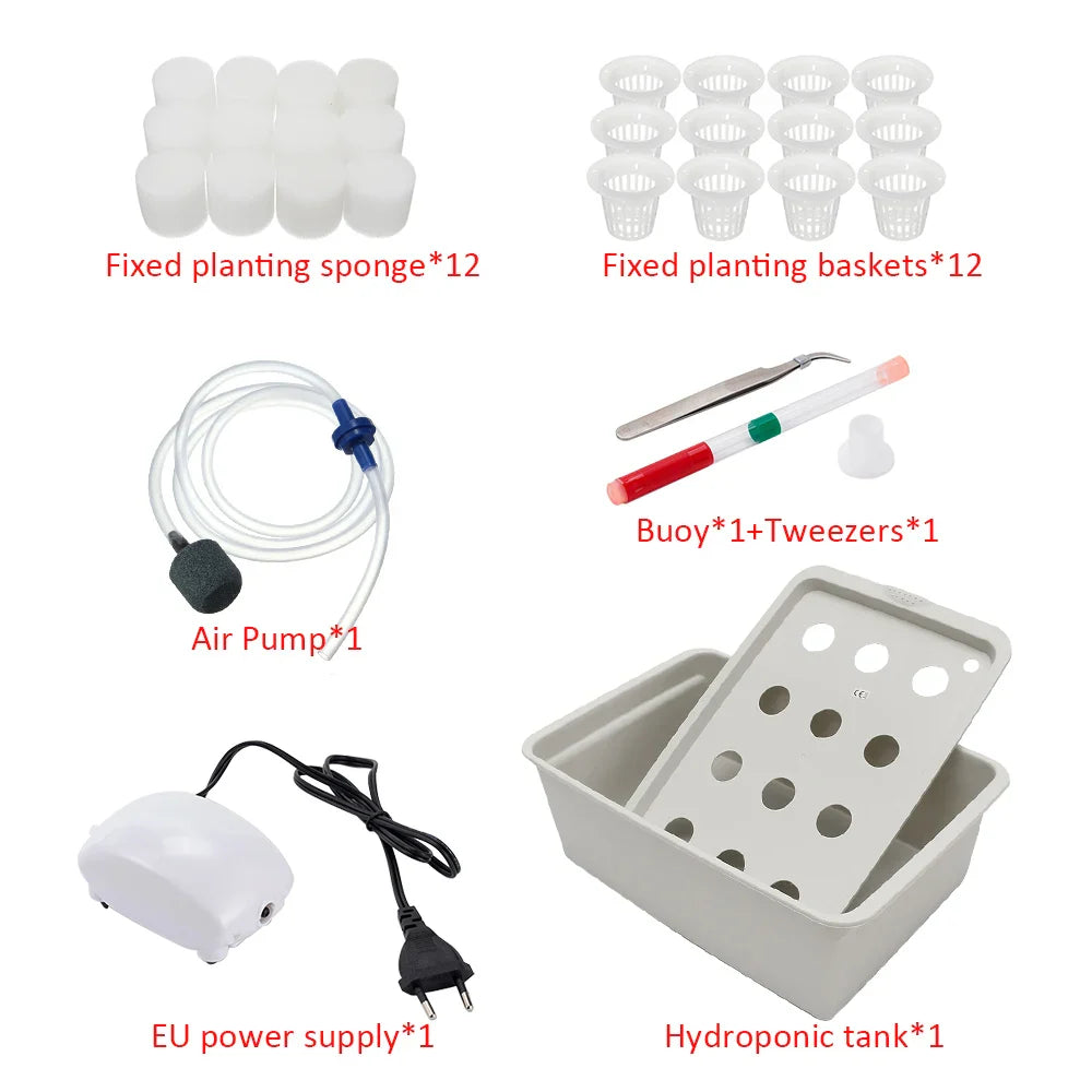 Carvallo Planter Set GrowPure 12 | 12-Chamber System with Pump | 220 V | For Herbs, Vegetables & Seedlings | 41×27,5×14 cm