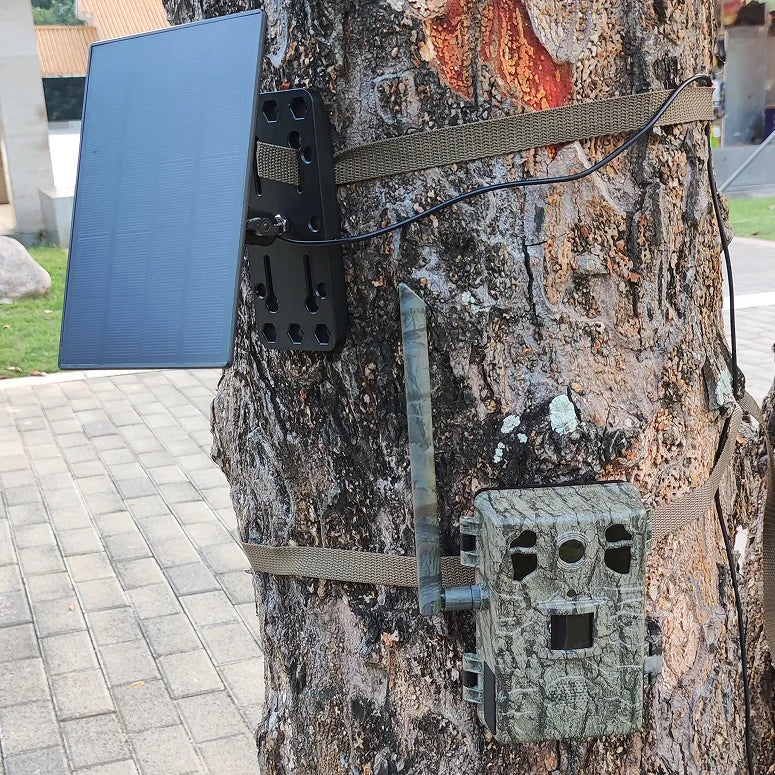 Carvallo – Soldriven 4G Wildlife-kamera med livestreaming och rörelsedetektion