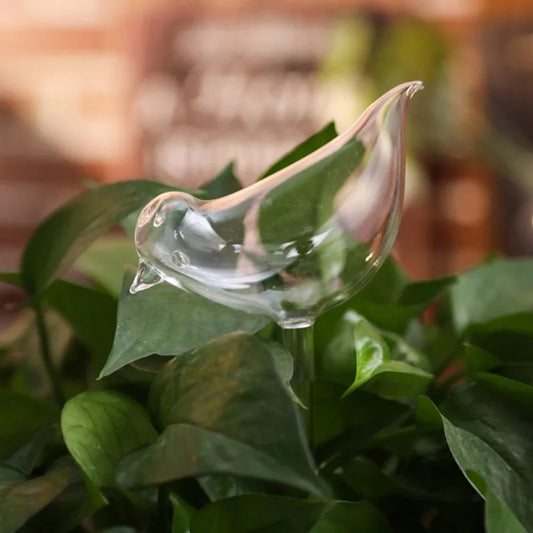 Carvallo bevattningssystem AquaZoo GlassDrop | djurdesign | självbevattning av glas | för blomkrukor & inomhusväxter