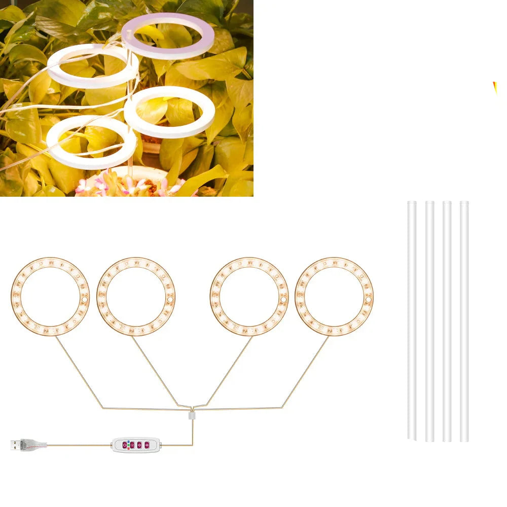Carvallo Luminara Ring | LED-växtbelysning med timerfunktion | 1–4 huvuden | USB-driven &amp; 5-stegs dimbar
