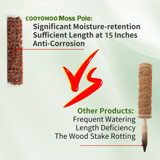 Carvallo Moosstab-Set | Transparent växtstöd i PVC | Främjar vertikal tillväxt av klätterväxter | Återanvändbar | 30cm / 60cm längd