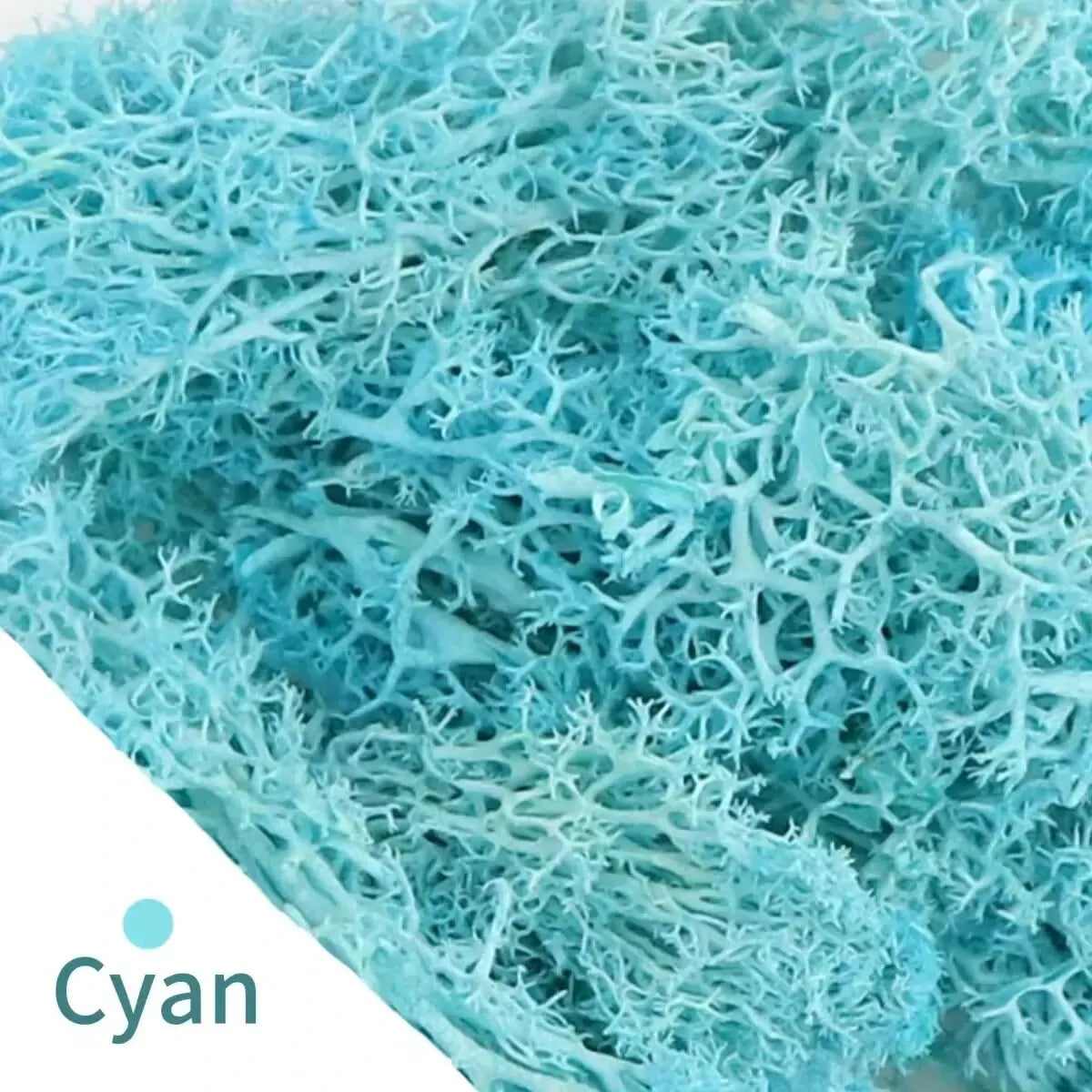 Carvallo Konstgjord mossa Dekogräs | 20 g / 40 g / 100 g | För DIY, miniatyrträdgårdar & hemtillbehör | Eviggrön & underhållsfri