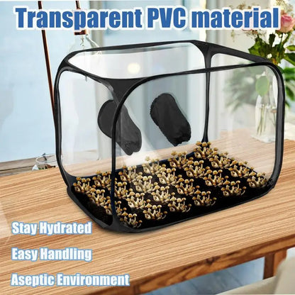 Carvallo MycoCube 91 | Transparent PVC-växthus | Fällbar &amp; Lufttät | 91x59x58 cm