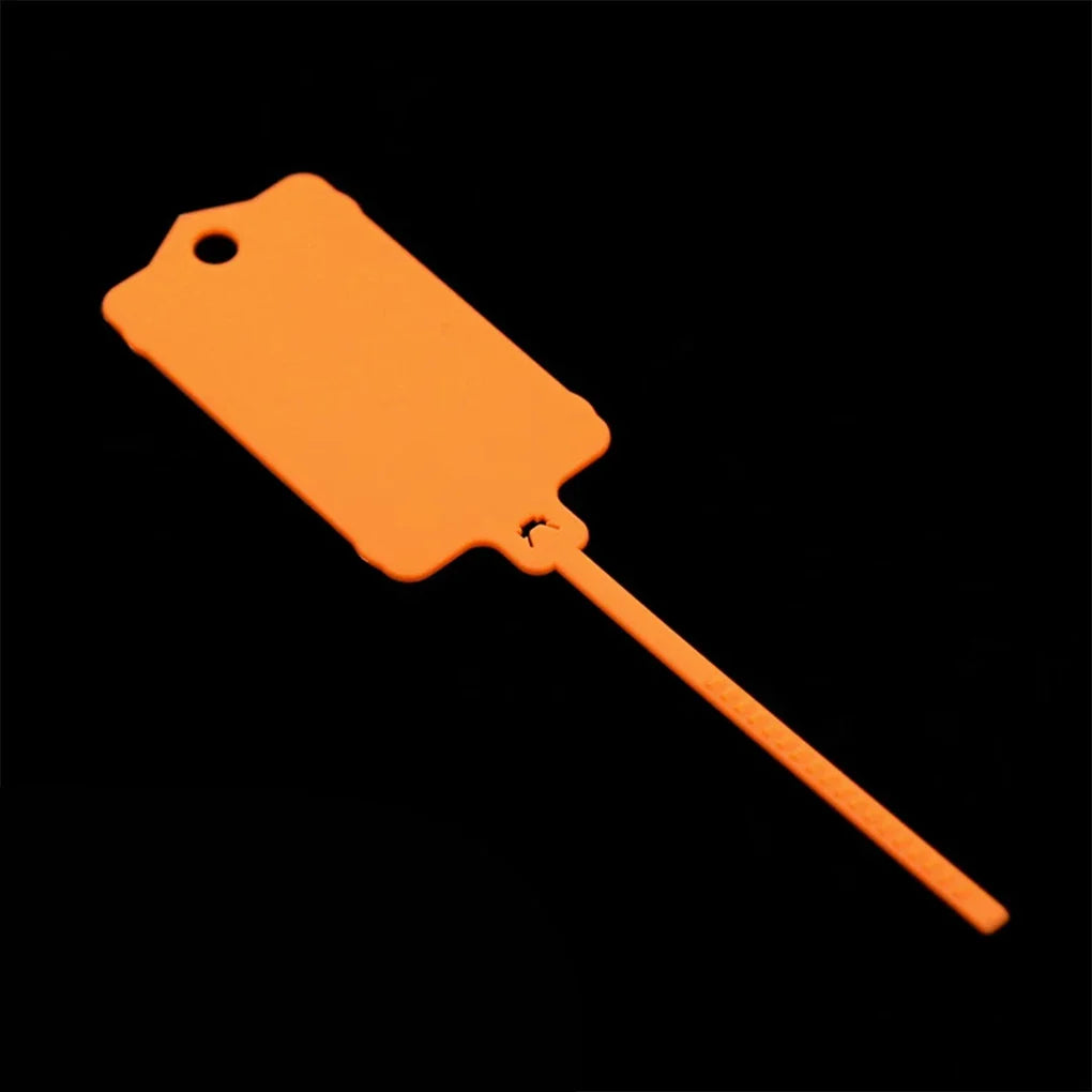 Carvallo FlexiTag 100 | 100 stycken | Återanvändbara plastetiketter med förslutningsband | För nycklar, bagage, lager och kontor