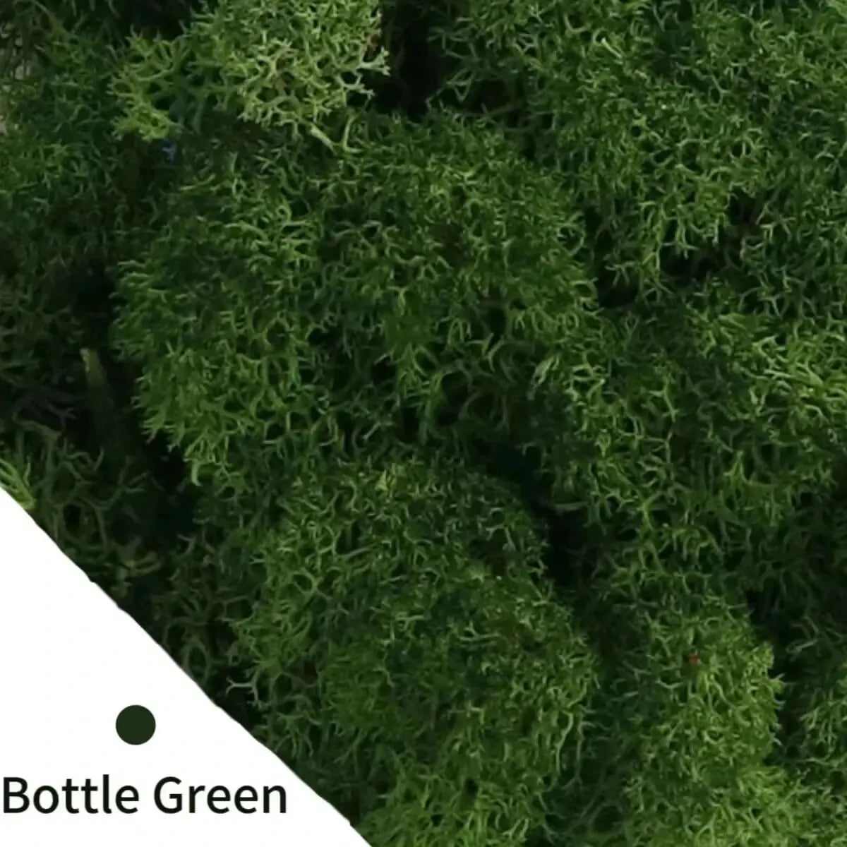 Carvallo Konstgjord mossa Dekogräs | 20 g / 40 g / 100 g | För DIY, miniatyrträdgårdar & hemtillbehör | Eviggrön & underhållsfri