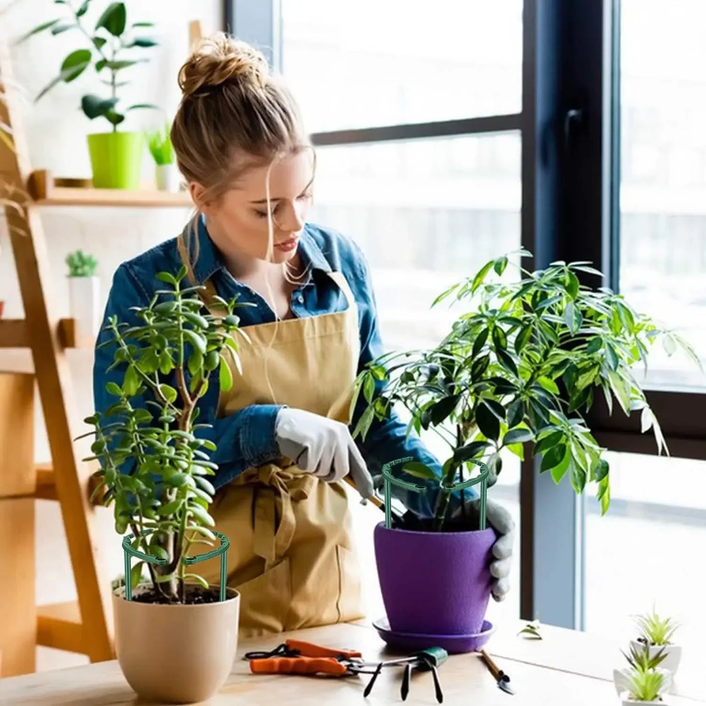 Carvallo växtstativ | Stabilt & Återanvändbart | För blommor & växthus