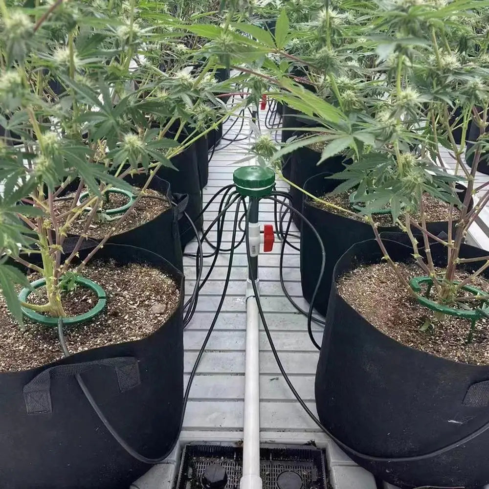 Carvallo växtdroppare med 3-bens stativ | Precis bevattningssystem för inomhus- & trädgårdsväxter | Vattensparande & Stabil