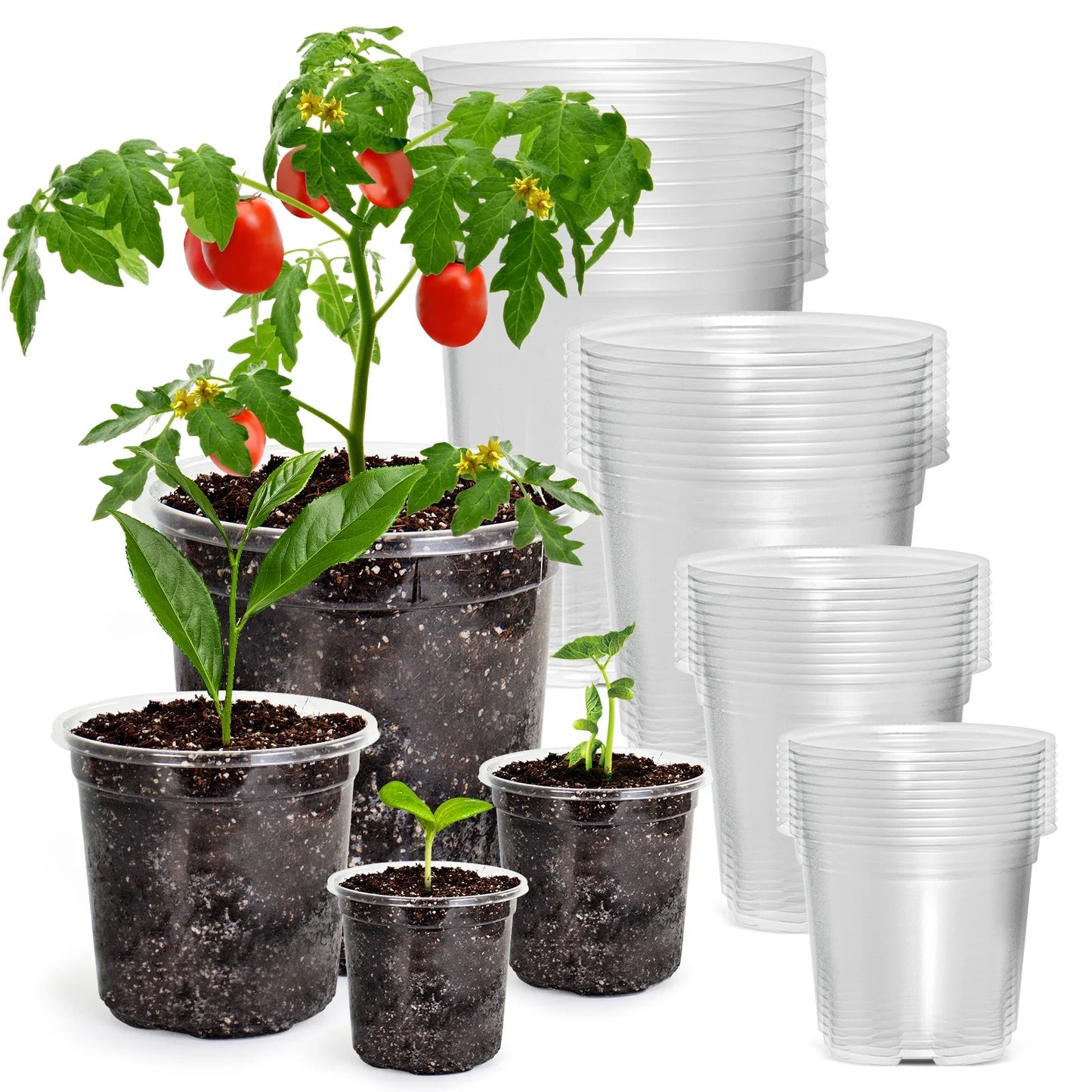 Carvallo Planter Set | 30-piece Set Transparent | 6,7" + 5" + 4" | Flexibel, Robust & med dräneringshål