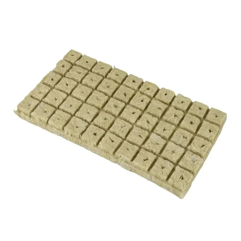 Carvallo GrowCube | För hydroponik & sådd | Luftgenomsläpplig & vattenabsorberande | 50-pack om 2,5×2,5×2,5 cm
