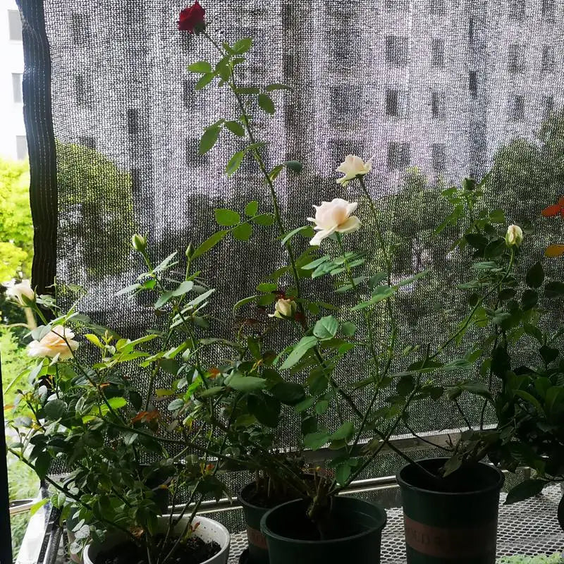 Carvallo Pro | Skuggnät 70–80 % | UV-skydd & insynsskydd | För trädgård & växthus