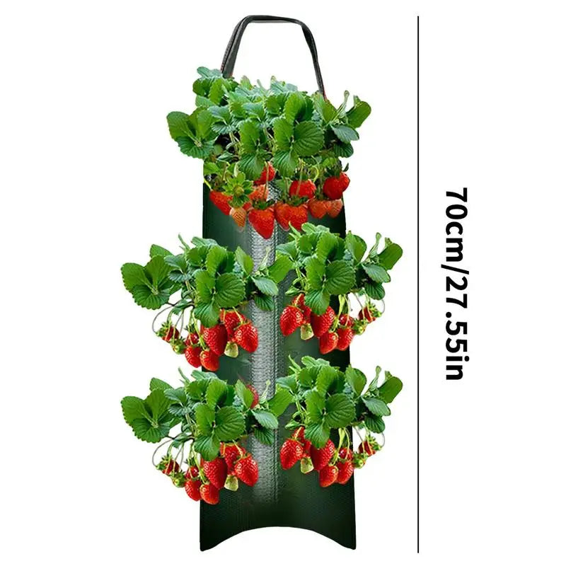 Carvallo Planter bag with 4/6/8/10 openings | Hanging & Breathable | For strawberries, tomatoes & herbs | Durable canvas fabric