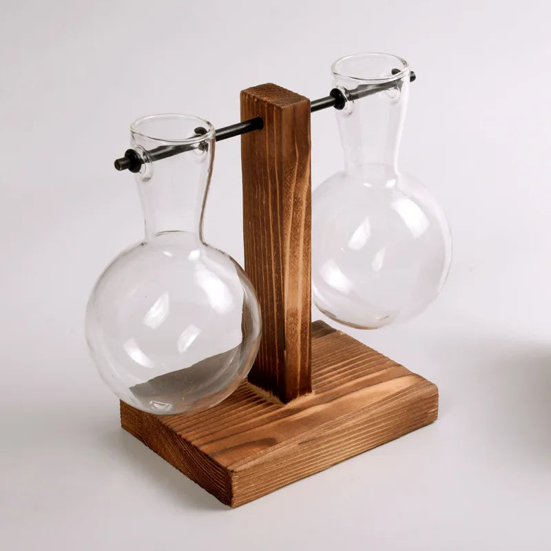 Carvallo Design Glasvase med träram | För snittblommor & hydroponik | Skandinavisk stil | 3-delat set