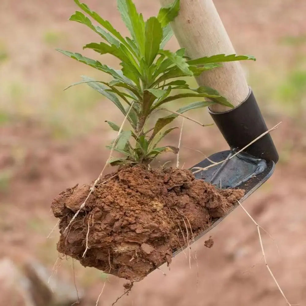 Carvallo Trädgårdshacka | Manganstål | Ogräsborttagare & Planteringshjälp | Robust & Multifunktionell