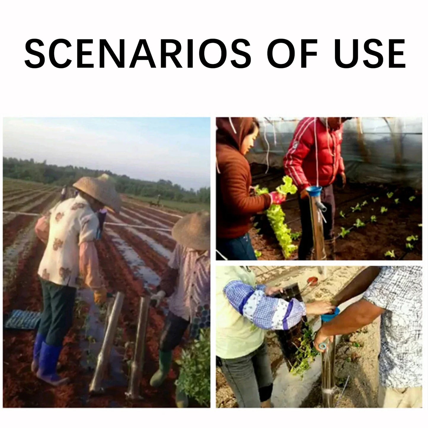 Carvallo PlantPro Manuell Grönsaksplantör | Ergonomiskt Omplanteringsverktyg | Rostfritt stål | 92 cm Längd