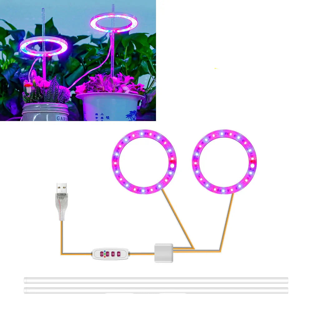 Carvallo Luminara Ring | LED-växtbelysning med timerfunktion | 1–4 huvuden | USB-driven & 5-stegs dimbar