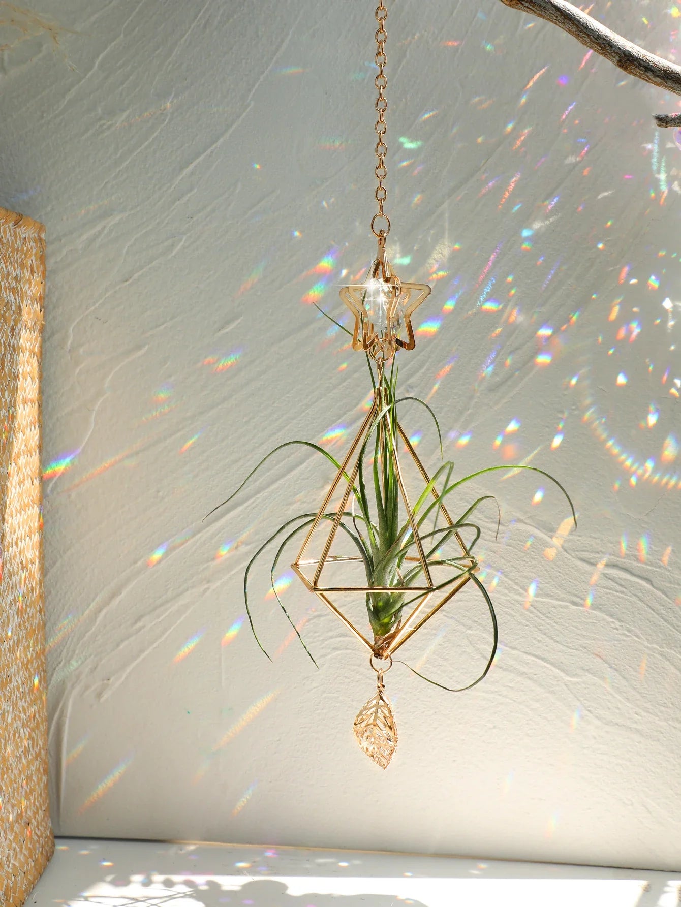 Carvallo Geometrisk Växtställ | Guld Hängande Airplant Hållare | Dekorativ Suncatcher med Kristall för Hem & Trädgård