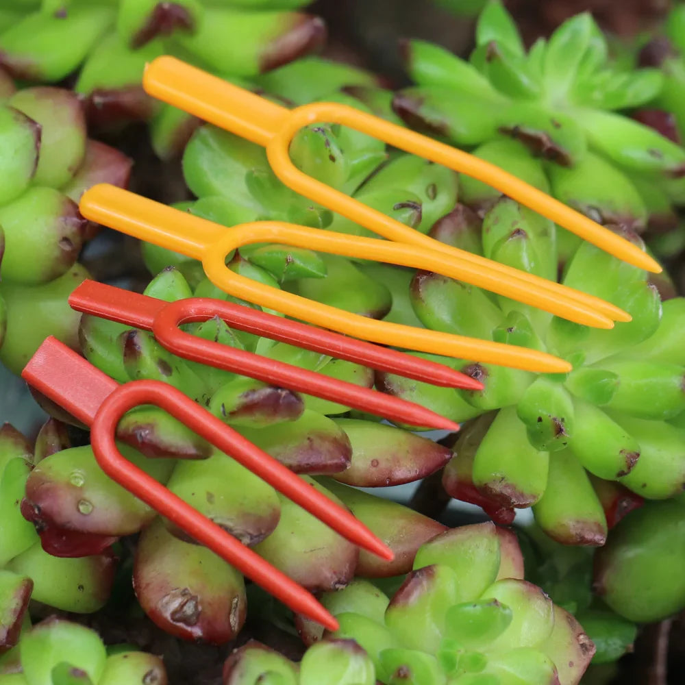 Carvallo | 50-piece set plant stem and vine fixers | 5.5 cm & 6.5 cm | Stable attachment for strawberries, watermelons & climbing plants