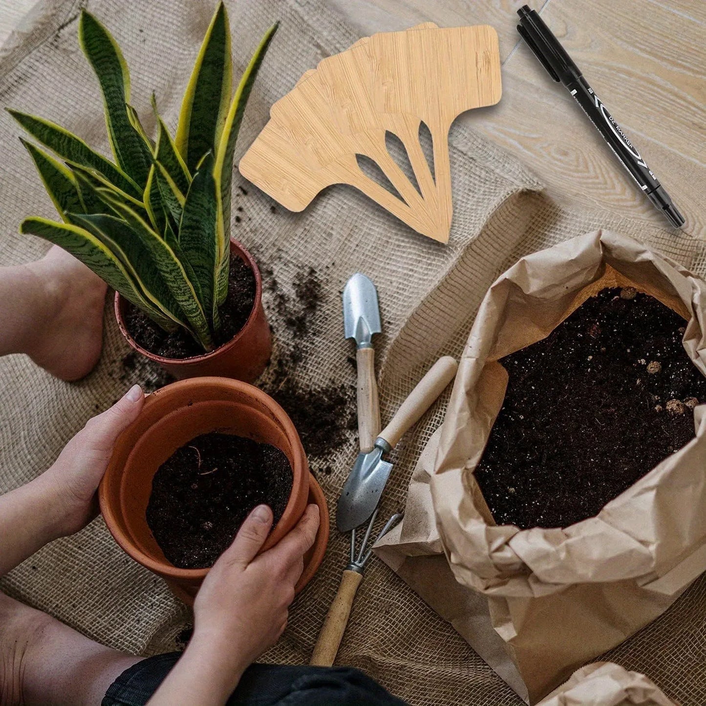 Carvallo NaturLine växtskyltar av bambu 50 st. | T-formad trädgårdspik | Ombart och väderbeständig | För örter, grönsaker och blommor