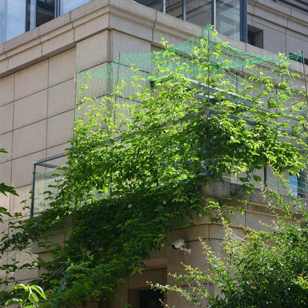 Carvallo Ranknetz för växter | Vindskydd & klätterstöd | För gurkor, vin, blommor & mer – 1 styck