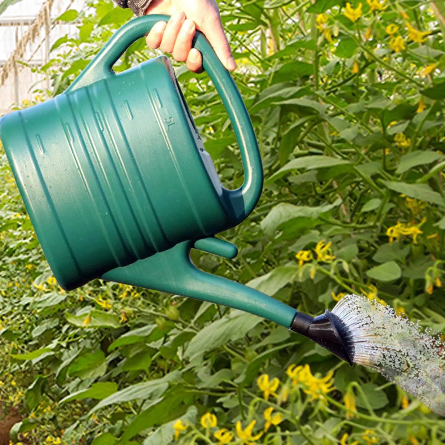 Carvallo Vattenspruta 5L i plast | Lätt & Stabil | För trädgård & inomhusväxter | Med avtagbart duschhuvud