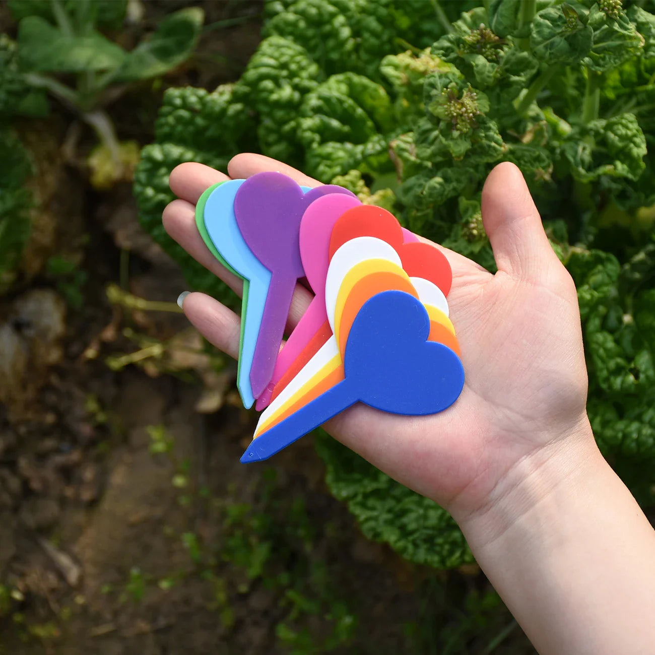 Carvallo Trädgårdsetiketter | 50 stycken | Vattentäta växtskyltar i plast | Återanvändbara | För krukor, rabatter & frön