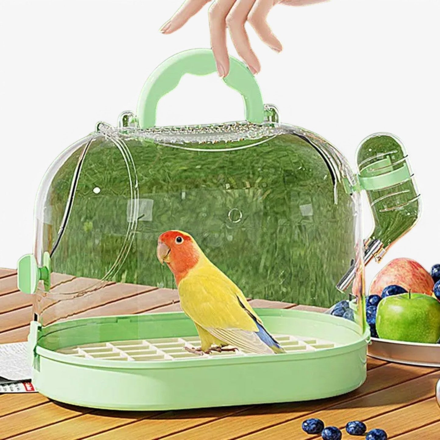 Carvallo – Komfortbur för resan!