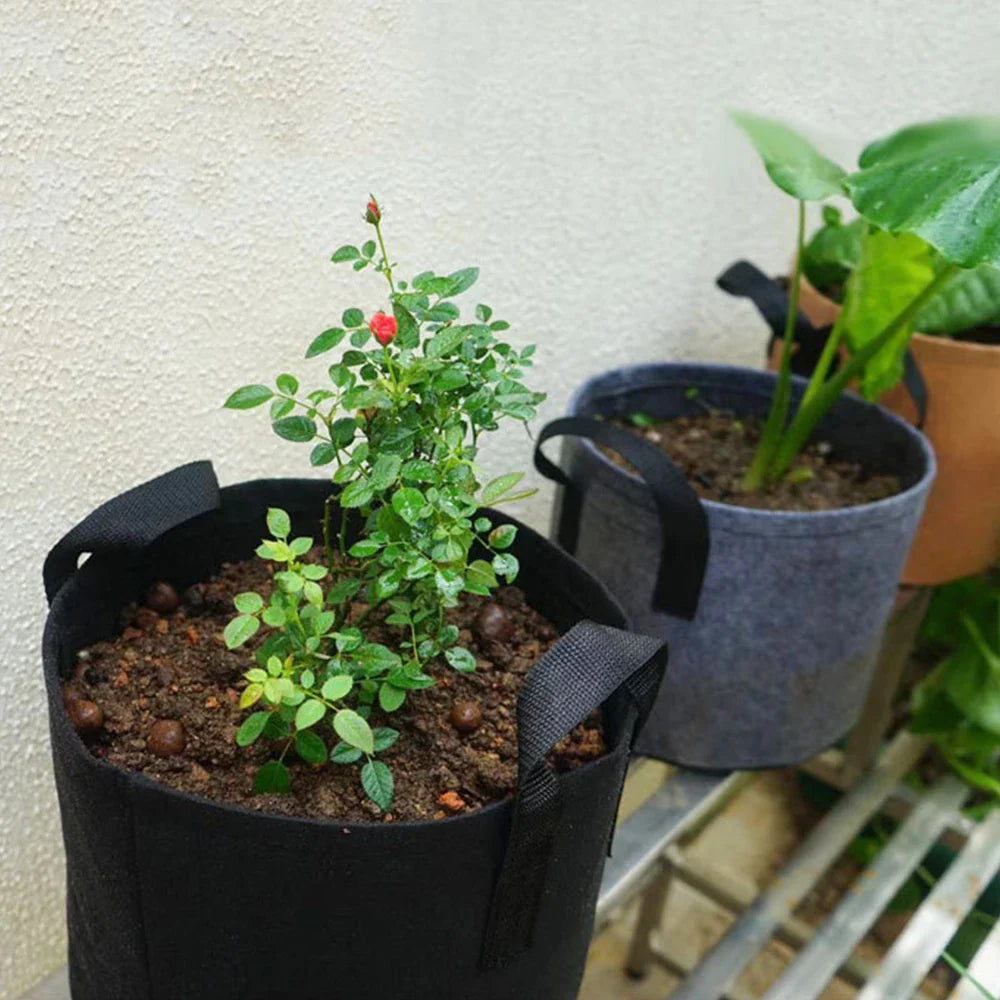 Carvallo Planteringstask 30×25 cm med handtag | 5 gallon | Andningsbar & Återanvändbar | För grönsaker, örter & balkongväxter