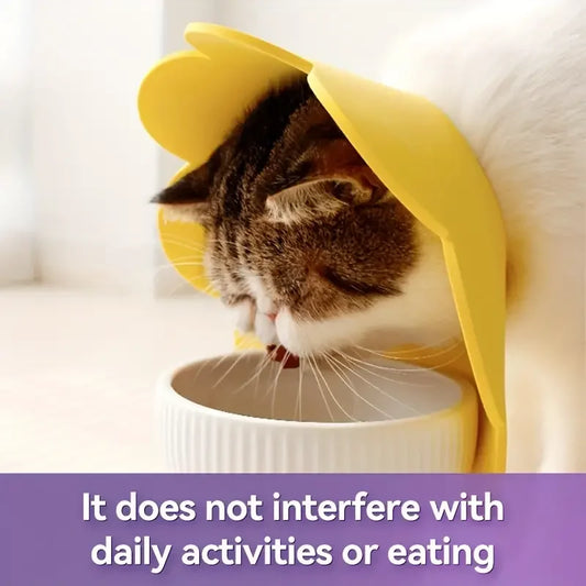 Carvallo skyddskrage för hundar & katter | Mjuk filtmaterial | Anti-lekande & klösande | Dubbel användning