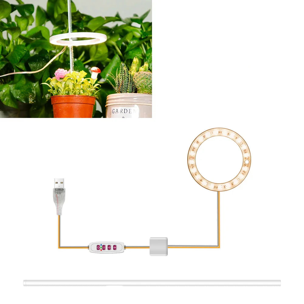 Carvallo Luminara Ring | LED-växtbelysning med timerfunktion | 1–4 huvuden | USB-driven & 5-stegs dimbar