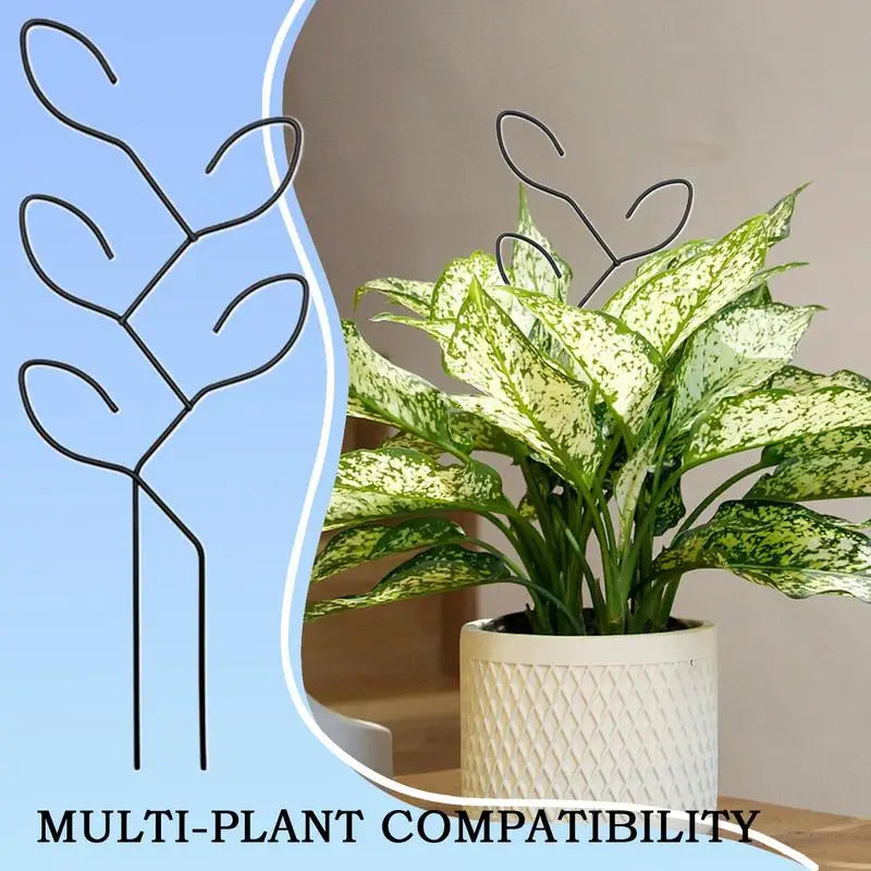Carvallo Metall-växtstöd för inomhusbruk | Rostfritt & Stabilt | För klätterväxter, blommor & murgröna | Dekorativt bladdesign