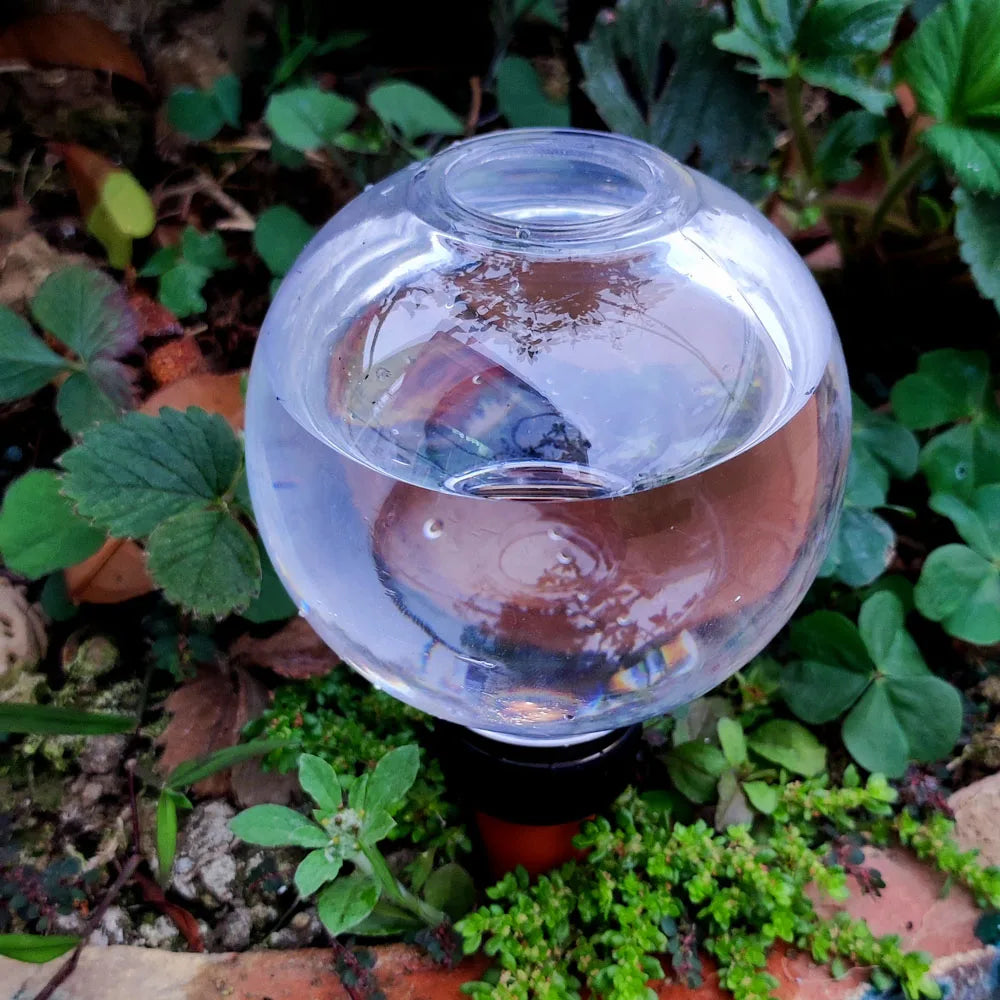 Carvallo SmartDrip | Automatisk växtbevattnare | 300 ml | För inomhus- och balkongväxter