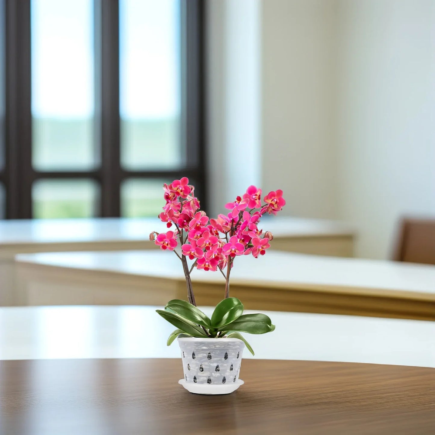 Carvallo Blomkrukor Klara | 5-pack | Med dräneringshål | Transparenta & Stabil – Florvista