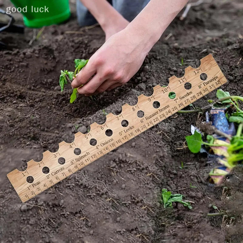 Carvallo NaturLinjal Växtlinjal av trä | 33×4,9 cm | Såddavstånd-hjälp med cm/tum-skala | För precis trädgårdsarbete & jämn sådd