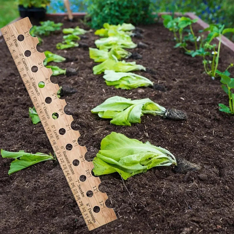 Carvallo NaturLinjal Växtlinjal av trä | 33×4,9 cm | Såddavstånd-hjälp med cm/tum-skala | För precis trädgårdsarbete & jämn sådd