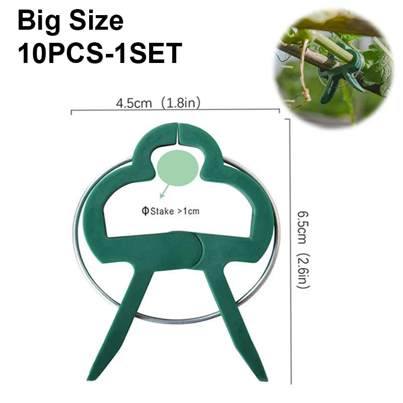 Carvallo växtklipp | Återanvändbara hållare | För tomater, grönsaker & klätterväxter | Stabil & väderbeständig
