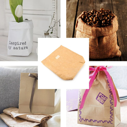 Carvallo Lunchbag | Isolerad &amp; Vattentät Matväska | Av miljövänligt papermaterial | För Skola, Kontor &amp; Picknick