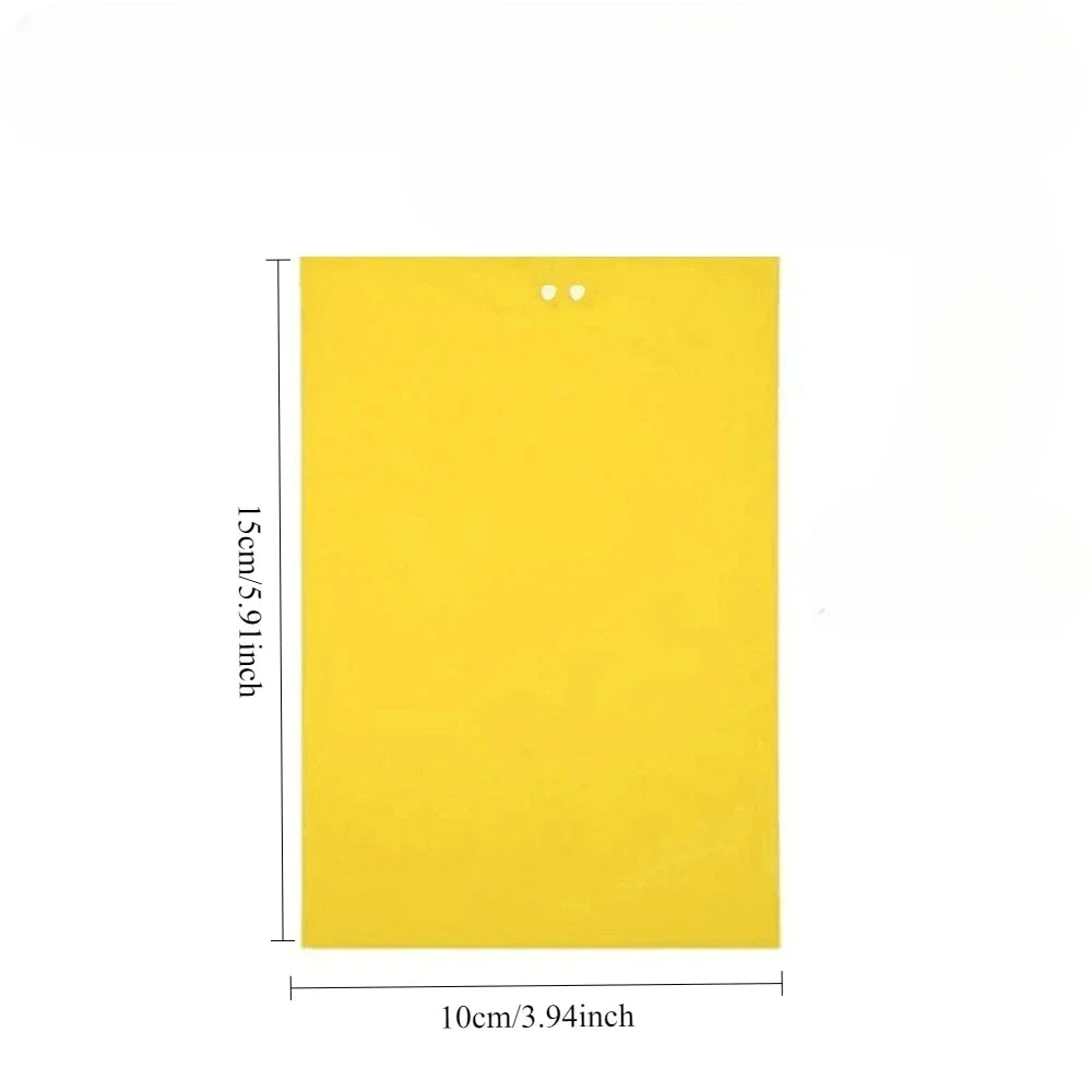 Carvallo Fruktflugefälla Gul | 20 stycken Dubbelsidiga | Giftfria & Miljövänliga | Klisterfällor för Insekter