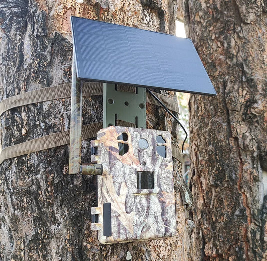 Carvallo – Soldriven 4G Wildlife-kamera med livestreaming och rörelsedetektion