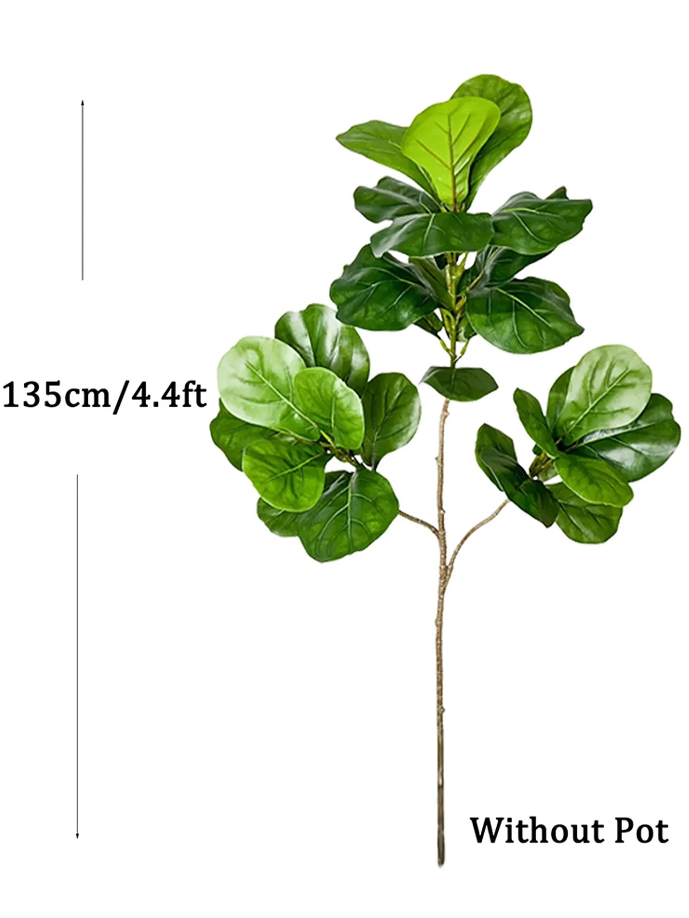 Carvallo Evergrünia | Gummiträd Ficus | 70–135 cm Höjd | Naturtroget utseende för inomhus & utomhus