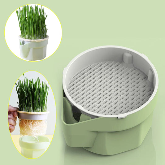 Carvallo Keimschale | Cat Grass Plant Cup | Made of food-safe PP | For wheatgrass, beans & more | Without soil