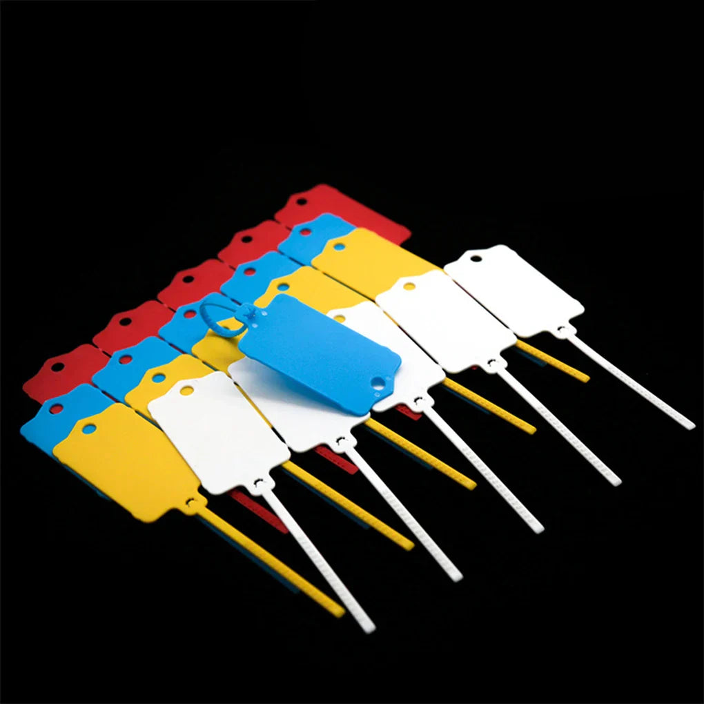 Carvallo FlexiTag 100 | 100 stycken | Återanvändbara plastetiketter med förslutningsband | För nycklar, bagage, lager och kontor