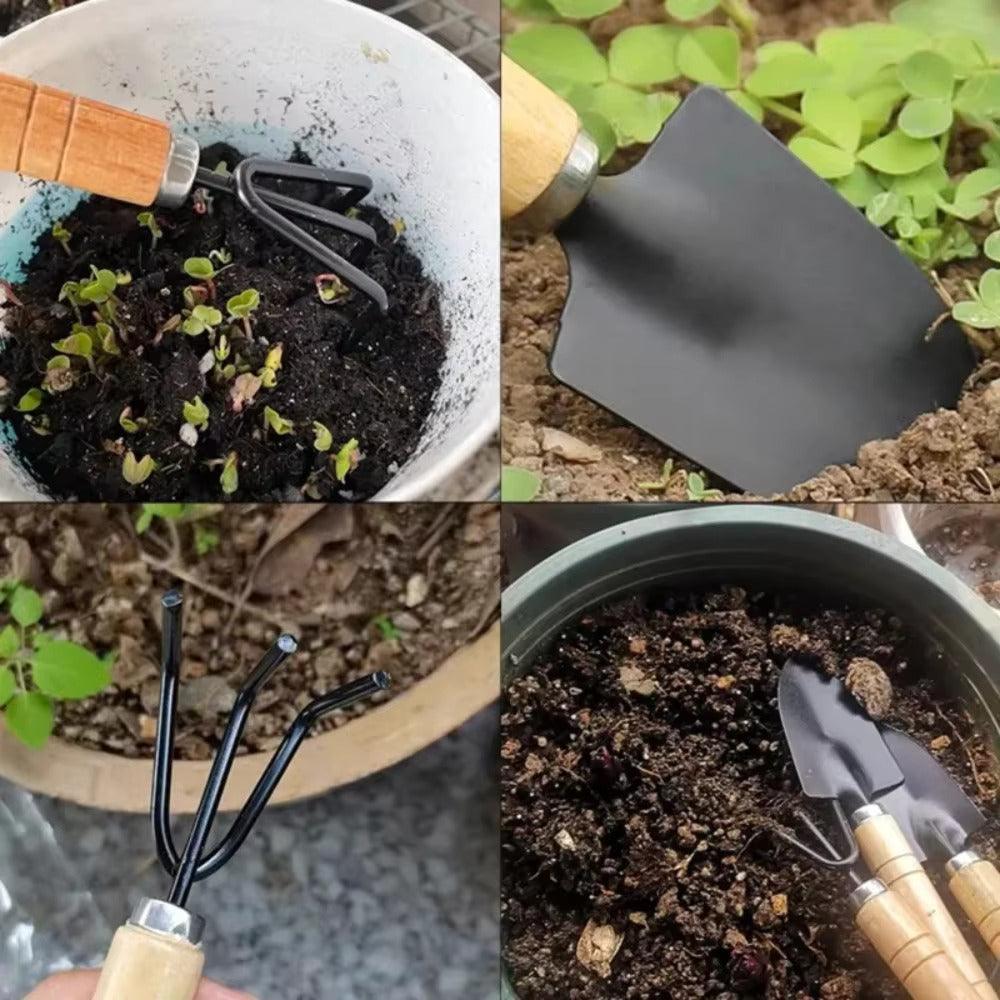 Carvallo Mini-Trädgårdset | 3-delar | För krukväxter &amp; odlingsbäddar | Ergonomisk &amp; Rostfri